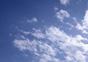 一緒に暮らしたペットを供養する方法