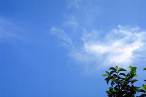 浜松市中央区高林の安心葬儀を実現する富士葬祭 高林の詳細詳細ガイド