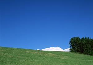静岡県焼津市の家族葬に最適な斎場:富士葬祭焼津中央の詳細と特徴