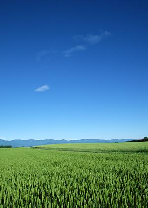 静岡県島田市に根ざした家族葬と小規模葬儀の専門【富士葬祭 六合】の特徴と店舗情報