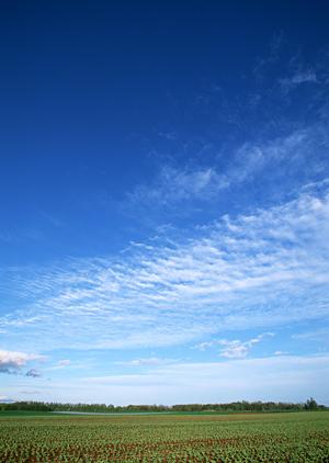 静岡県浜松市中央区に新規オープン｜家族葬専門のタクセル住吉の特徴とご利用案内