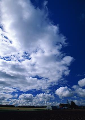 宇都宮市で安心の葬儀サービスを提供するさがみ典礼 中戸祭の全面ガイド