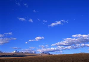 静岡県藤枝市の安心葬儀を実現する【富士葬祭 藤枝城南】の特徴とサービス内容