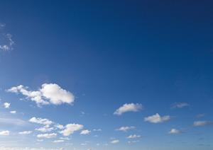 「403 Forbidden」エラーの原因と解決策：ウェブサイト管理者が知るべきポイント